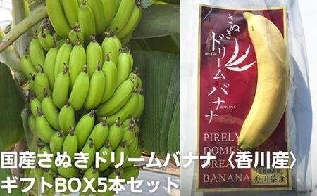 国産さぬきドリームバナナ〈香川産〉ギフトBOX5本セット