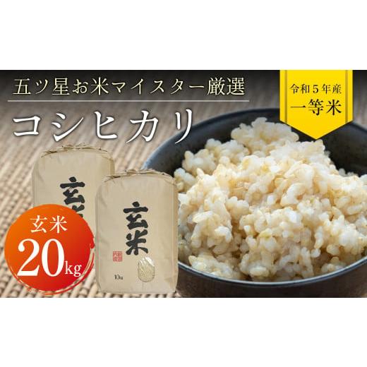 ふるさと納税 千葉県 富津市 令和5年 千葉県産「コシヒカリ」20kg（玄米）