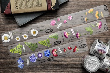 Spring Overture / 春天序曲紙膠帶 - 4cm