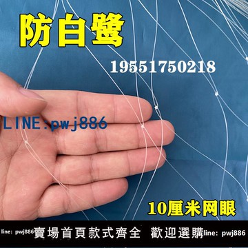 【可打統編 超低價】魚塘防鳥用網青蛙養殖場防白鷺10公分網眼防鳥天網魚塘天網防護網