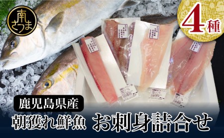 ◆お申込みの翌月にお届け◆朝獲れ鮮魚のお刺身詰め合わせ（4種） 魚 冷蔵 刺身 鮮魚 ヤマチョウ 鹿児島県産 海鮮 直送 セット 詰め合わせ ヤマチョウ 南さつま市