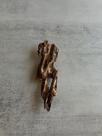 野生芽莊沉香老料S35(13.7克)