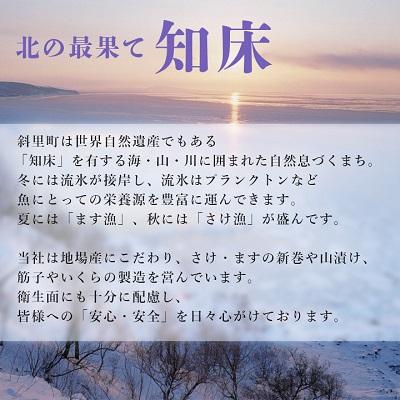 ふるさと納税 斜里町 北海道知床産 鮭いくら醤油漬け鮭親子漬セット