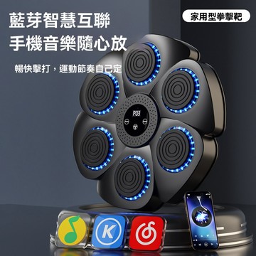 有氧/重訓 【伊達】拳擊器 打拳機 運動訓練 手臂鍛煉 音樂拳擊沙包 拳擊墻靶 散打 健身 沙包袋 免打孔