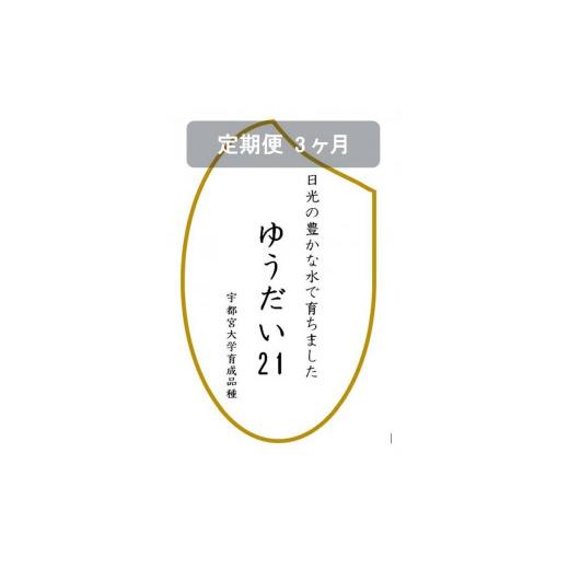 ふるさと納税 栃木県 日光市 令和5年産　ゆうだい21　玄米10kg（5kg×2袋）