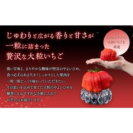 ふるさと納税 期間限定 数量限定 いちご 「やよいひめ」 1粒 75g以上 フルーツ 果物 苺 宮崎県宮崎市