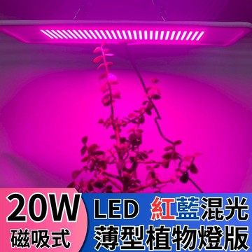 【君沛】磁吸式薄型植物燈板 20W 紅藍光譜 LED植物燈 多肉顯色 育苗 防徒長 植物生長燈 層架燈