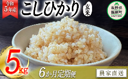 米 こしひかり 玄米 5kg × 6回 令和5年産 沖縄県への配送不可 2023年11月上旬頃から順次発送予定 米澤商店 コシヒカリ 玄米 長野県 飯綱町 [1354]