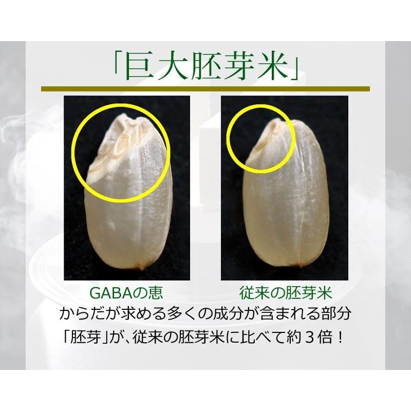 玄米 gABAの恵 国産 巨大胚芽米 ギャバ 300g 玄米 白米モードで炊けます 送料無料 国内産100％ お米 スーパーフード 食物繊維