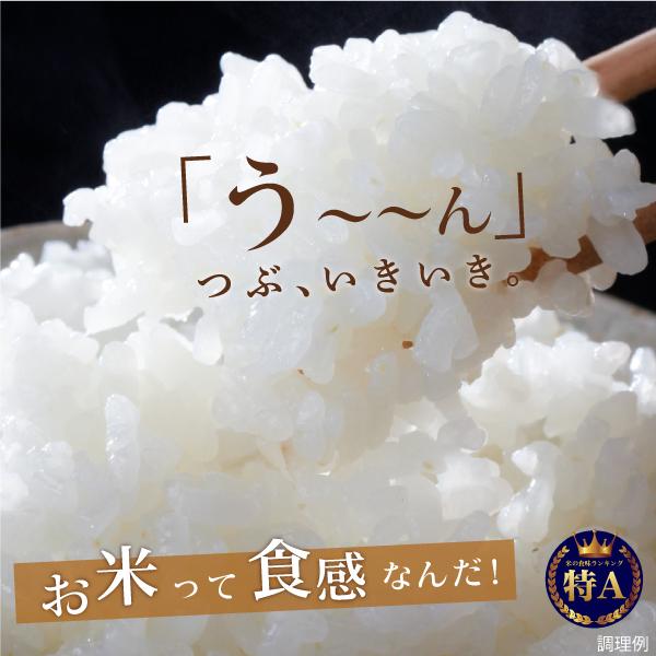 山形県産 雪若丸 16合(2合×8袋) 2年連続特A評価 送料無料 （北海道・沖縄・離島 1500円） お米 食品 ポイント消化 お取り寄せ 国産 ギフト