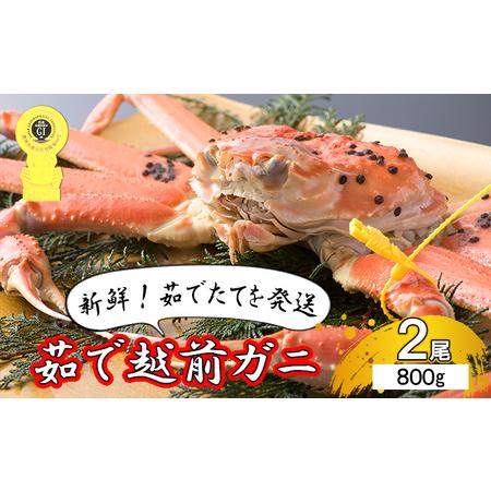 ふるさと納税 茹で越前ガニ食通もうなる本場の味をぜひ、ご堪能ください。約800g 2尾セット 越前がに 越前かに 越前カニ カニ ボイ.. 福井県若狭町