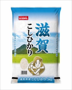 幸南食糧　滋賀産こしひかり（国産） 5kg×2袋／こめ／米／ごはん／白米／