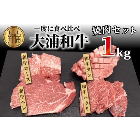 ふるさと納税 大浦和牛焼肉セット(1kg)《牛肉 牛 国産 焼肉 セット おすすめ ロース 美味しい 牛タン ハラミ ヒレ 食べ比べ バーベキュー》 兵庫県加古川市