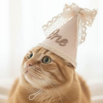 🐕‍🦺 隔日到貨 🐈‍⬛ 貓咪生日帽 狗狗生日帽 寵物帽 寵物派對帽 寵物生日 貓咪生日 狗狗生日 貓咪狗狗寵物佈置