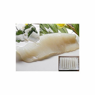 イカ 刺身 お造り いか するめいか 250g 1個 するめいか イカの刺身 を イカそうめん にしても いかそうめん 通販 Lineポイント最大get Lineショッピング