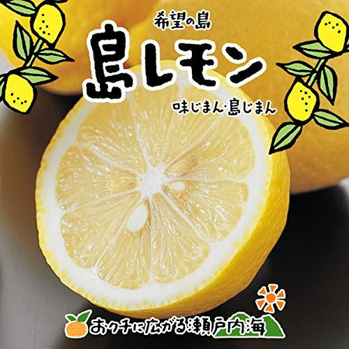 希望の島 無農薬レモン 2kg サイズ込 国産 愛媛 中島産 瀬戸内レモン