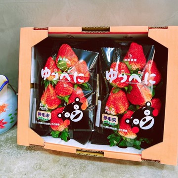 【帕查嬤嬤】🇯🇵日本 熊本 夢未來 熊紅草莓🍓｜日本草莓禮盒