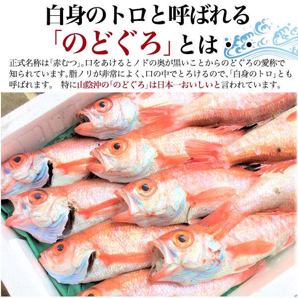 ワンフローズン のどぐろ 一夜干し 300〜350g 2枚セット 超特大サイズ 冷凍発送 黒箱入り リキッド凍結 冷凍1回 新鮮 ノドグロ 干物