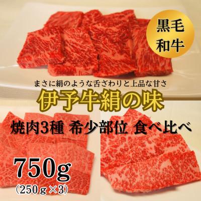 ふるさと納税 西条市 ★希少部位★　伊予牛絹の味　焼肉おまかせ3種盛　750g(250g×3)