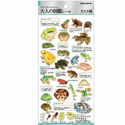 大人の図鑑シール カエル編　NO.26222 金箔加工シール  ★かえるのシール蛙グッズカエルデザインflogおたまじゃくしニホンアマガエル