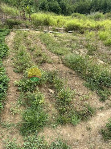 大社臨路近國10便宜農牧地休閒農地05930｜高雄市大社區水哮段