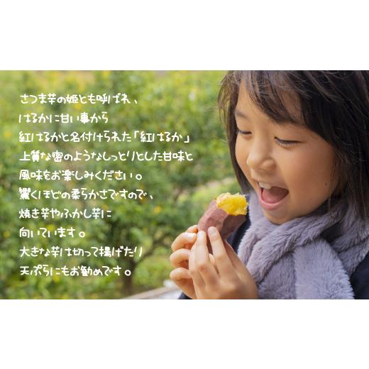 ふるさと納税 兵庫県 淡路市 淡路市産さつま芋「土付き紅はるか」大小お任せの5キロ詰合せ