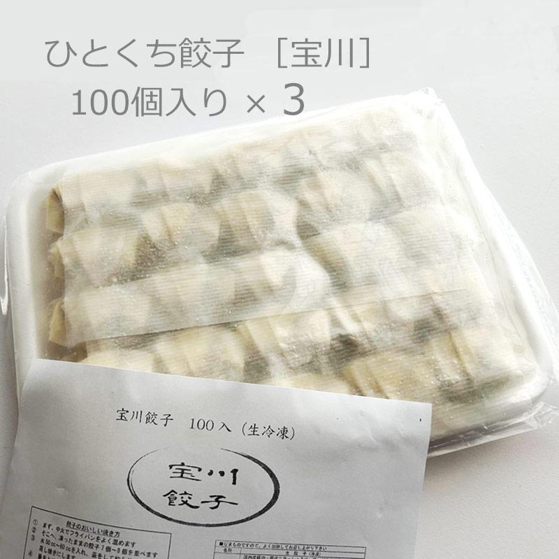 餃子 宝川 手作り 一口餃子 生餃子［冷凍］100ヶ入り×3皿（300個）