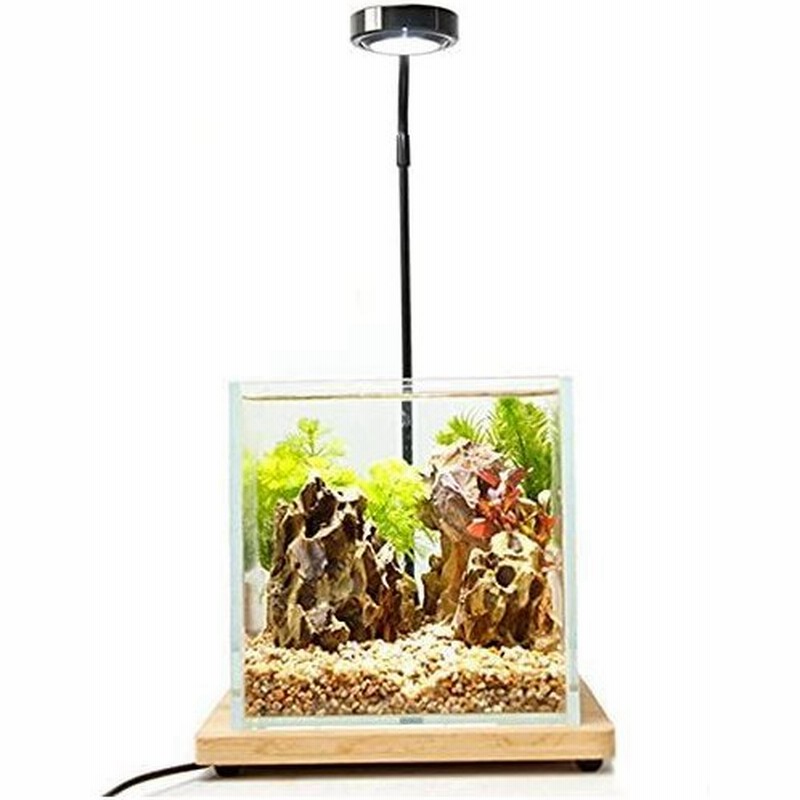 水槽照明 アクアリウムライト Led 水槽ライト 7w 竹製 水槽 ベース 25cm 小型 金魚 水草 植物育成 熱帯魚 角度調節可能 通販 Lineポイント最大0 5 Get Lineショッピング