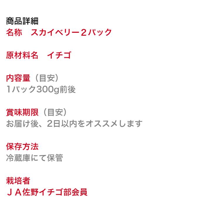 イチゴ いちご スカイベリー 配送日時指定不可 栃木県産 ２パックセット  熨斗対応 クール送料無料 冷蔵便 スカイ2P