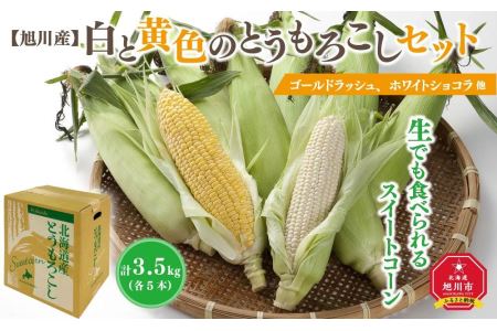 白と黄色のとうもろこしセット　各5本（計3.5kg）(2024年8月上旬発送開始予定)