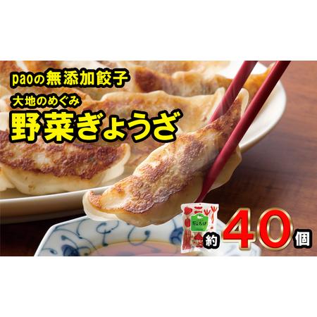 ふるさと納税 餃子 paoの無添加餃子 40個入り 大地のめぐみ やさいぎょうざ 無添加 化学調味料不使用 食品添加物不使用 中華 点心 惣菜 おかず .. 広島県三原市