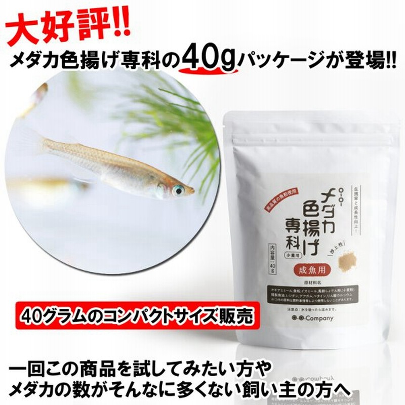 メダカの餌 メダカ色揚げ専科 成魚用 ４０ｇ 熱帯魚餌 メダカのエサ 通販 Lineポイント最大0 5 Get Lineショッピング