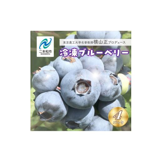 ふるさと納税 福島県 二本松市 東京農工大学名誉教授「横山　正」ブランドのブルーベリー冷凍果実4パックセット（品種おまかせ）