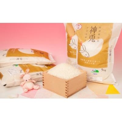 ふるさと納税 八頭町 特別栽培米コシヒカリ「神兎」20kg