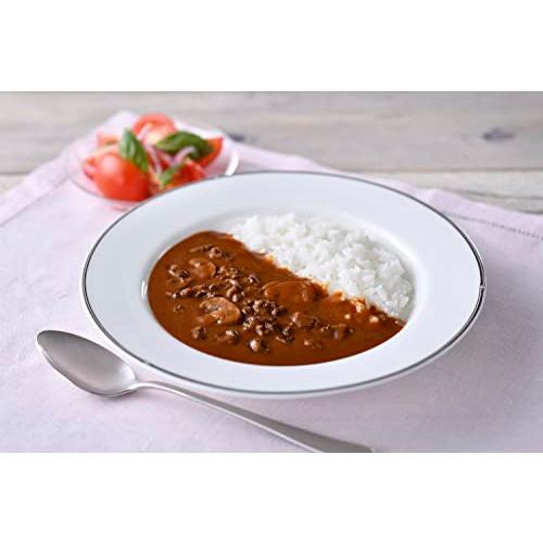 からだシフト 糖質コントロール ビーフハヤシ 150g ×5個