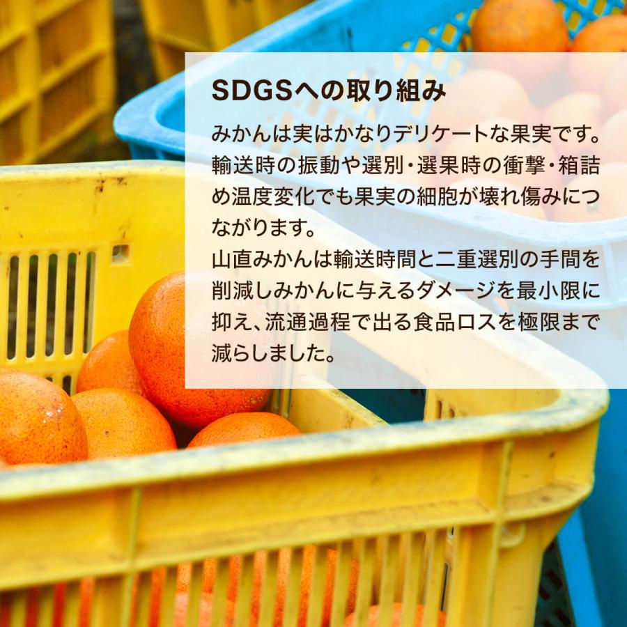 みかん 山から直送 箱込 10kg 内容量 9.2kg 鮮度優先ごろごろ規格 和歌山県産 産地直送 家庭用