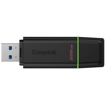 Kingston 256GB 256G DataTraveler Exodia USB 3.2 DTXG2/256GB 隨身碟