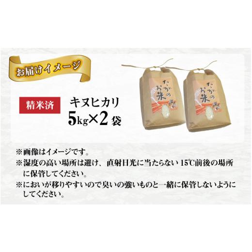 ふるさと納税 滋賀県 多賀町 キヌヒカリ10kg（5kg × 2袋） おいしい多賀のお米 [B-00401]