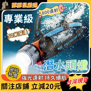 【三年保固⚡全新正品】專業潛水頭燈 潛水照明燈 戶外釣魚燈 強光頭燈 潛水燈 黃白雙光 深潛頭燈 夜潛照明燈 水陸兩用燈
