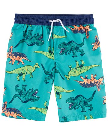 Kid Dinosaur Swim Trunks