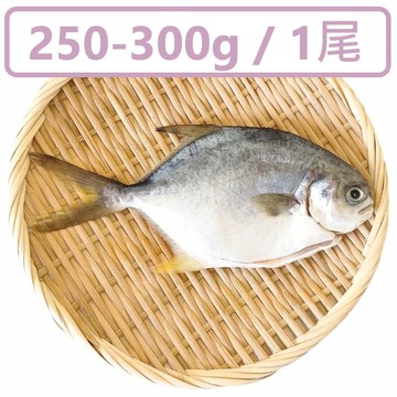 【一夫水產】產銷履歷/黃金鯧魚(250g)