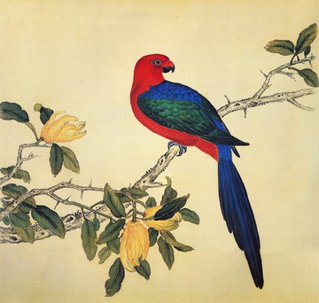 故宮鳥譜042翠尾紅鸚哥仿古畫復制名人字畫名家書畫29X32花鳥畫