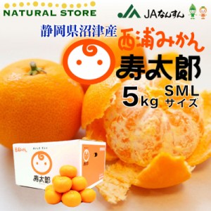 [予約 2月1日から3月20日のご納品] 寿太郎 寿太郎みかん 西浦ミカン寿太郎 5kg SML 青島みかん 静岡県産 寿太郎みかん 西浦みかん 沼津