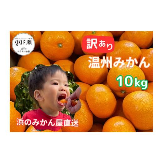 ふるさと納税 愛媛県 西予市 明浜産 浜のみかん屋直送 温州みかん 訳あり（10kg）