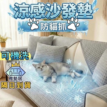 🌈雅墊居/涼感專賣店🌈涼感沙發墊 沙發墊 沙發涼墊 沙發涼感墊 沙發墊布 冰絲沙發墊 沙發布 沙發坐墊 沙發墊子