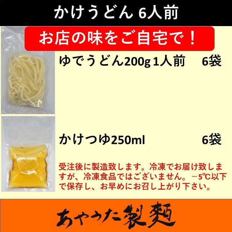 冷凍ゆでうどん・かけ6人前