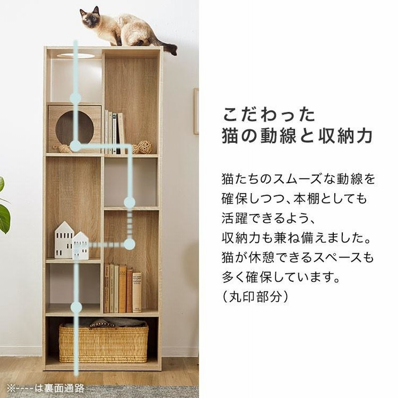 キャットタワー キャットウォーク 猫家具 本棚 収納 おしゃれ 60 ねこ ネコ 壁面収納 棚 スリム 省スペース 北欧風 ペット 教科書 |  LINEブランドカタログ