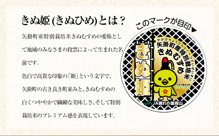 令和4年産 特別栽培米 きぬむすめ10kg 5kg×2袋 岡山県産 白米 精米 単一原料米 矢掛町《30日以内に順次出荷(土日祝除く)》JA晴れの国 矢掛アグリセンター 送料無料---osy_jaykinu4_30d_22_18500_10kg---