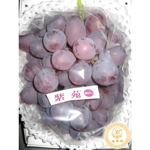 あたご梨1個(1kg)＆紫苑1房(700g)