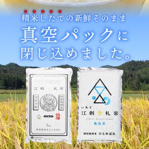 ふるさと納税 江刺金札米ひとめぼれ 無洗パック米 2kg×5袋 令和5年産 新米  特別栽培米 [A0042] 岩手県奥州市